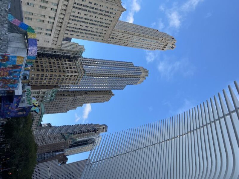 NYC | French guided tour Southern Manhattan - Good To Know