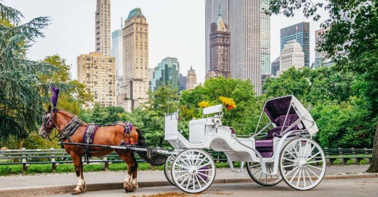 NYC: Guided Central Park Horse Carriage Ride - Activity Details and Booking Information