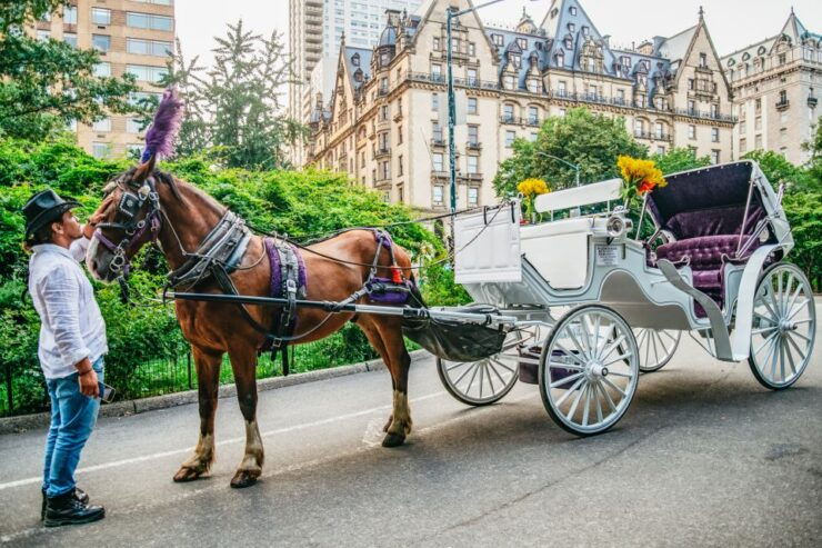NYC: Guided Central Park Horse Carriage Ride - Free Cancellation and Flexible Payment Options