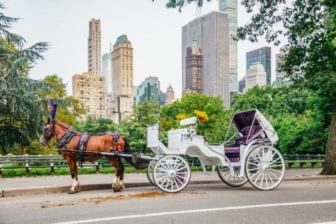 NYC: Guided Central Park Horse Carriage Ride - Duration and Starting Time Availability