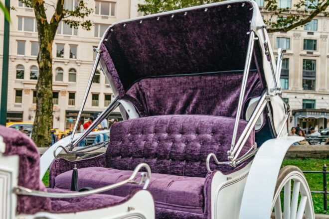 NYC: Guided Central Park Horse Carriage Ride - Highlights of the Horse Carriage Ride