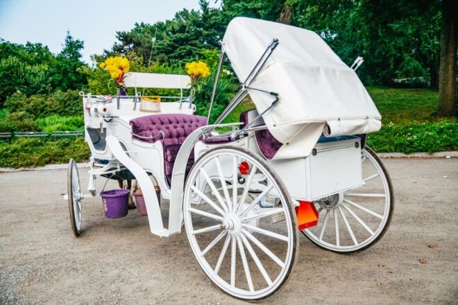 NYC: Guided Central Park Horse Carriage Ride - Explore Central Parks Famous Landmarks