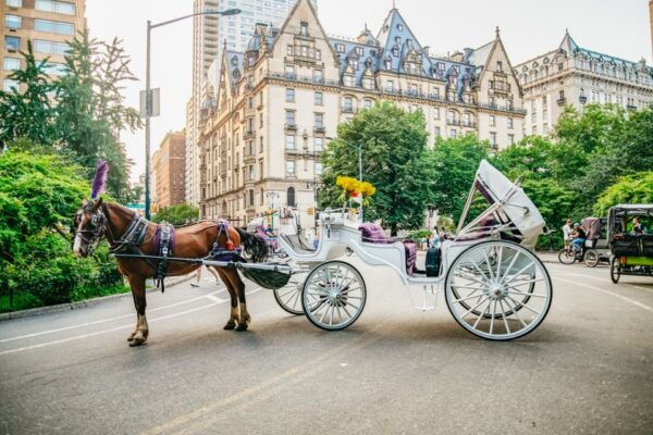 NYC: Guided Central Park Horse Carriage Ride - Customer Reviews and Rating Summary
