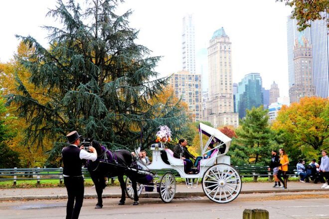 NYC: Guided Standard Central Park Carriage Ride (4 Adults) - Additional Activities and Recommendations
