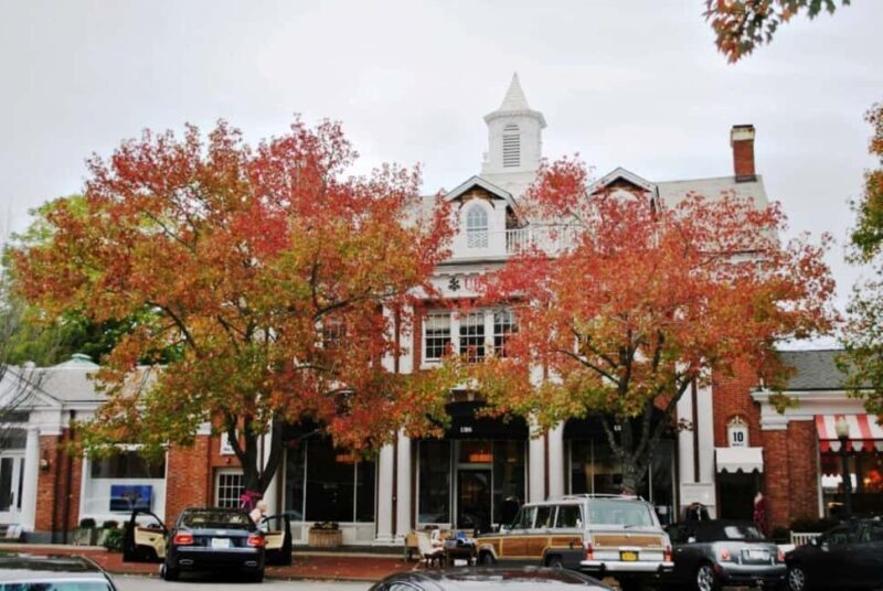 NYC: Hamptons Private Day Tour - Authenticity and Local Knowledge