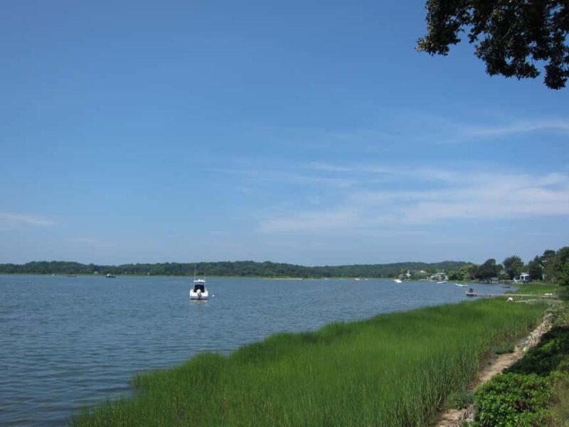 NYC: Hamptons Private Day Tour - Who Will Benefit Most from This Tour?