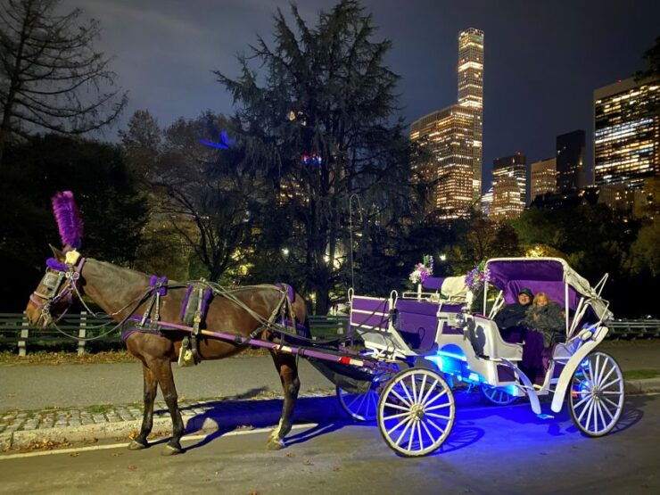 NYC : Holiday Lights Private Horse Carriage Ride - Experience and Reservation Details