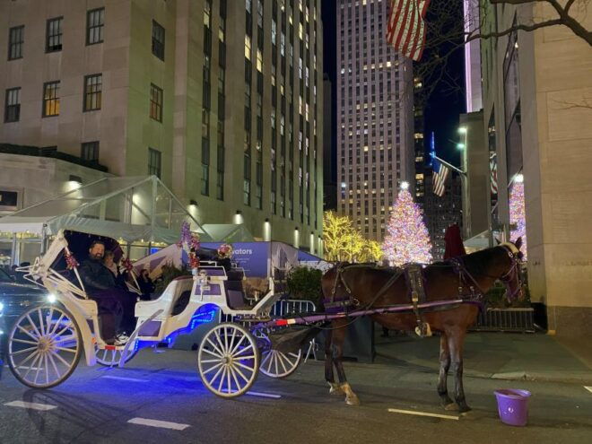NYC : Holiday Lights Private Horse Carriage Ride - Meeting Point and Duration