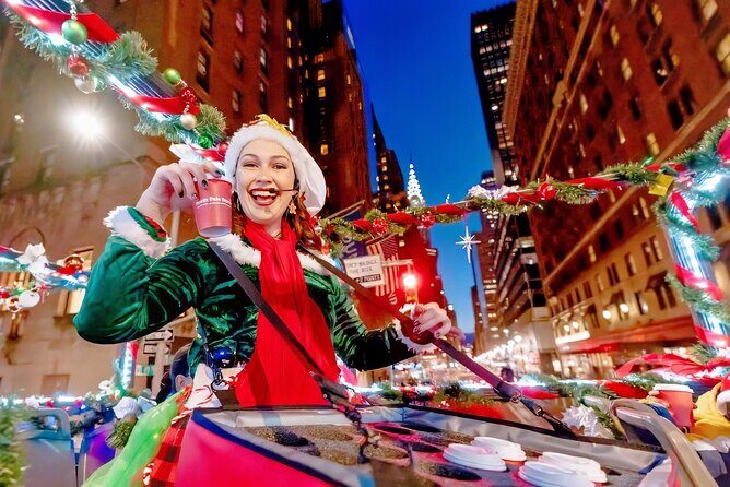 NYC Holiday Lights Sightseeing Bus Tour - Good To Know  