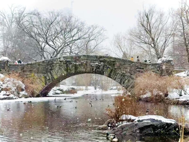 NYC: Home Alone 2 & Elf Locations Tour in Central Park Tour - Final Thoughts