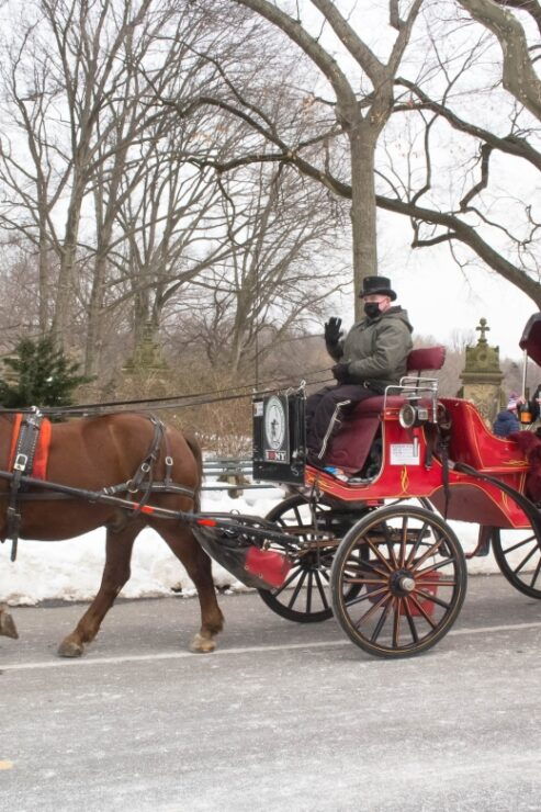 NYC Horse Carriage Ride in Central Park (65 Min) - Good To Know