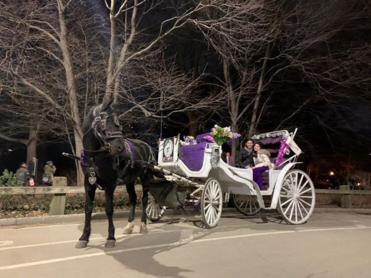 NYC Horse Carriage Ride in Central Park (65 Min) - Itinerary