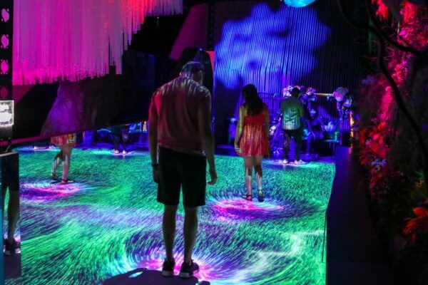 NYC: INTER_ Digital Art Experience Admission Ticket - Fusion of Art and Technology