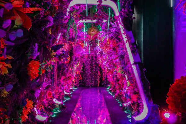 NYC: INTER_ Digital Art Experience Admission Ticket - Suitable for All Ages