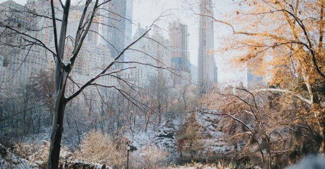 NYC Landmarks Walking Tour: Personalized With Local Guide - Highlights