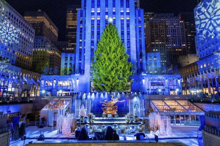 NYC: Magical Christmas Lights Carriage Ride (Up to 4 Adults) - Activity Details and Booking Information