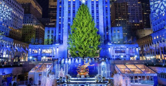 NYC: Magical Christmas Lights Carriage Ride (Up to 4 Adults) - Flexible Booking and Payment Options