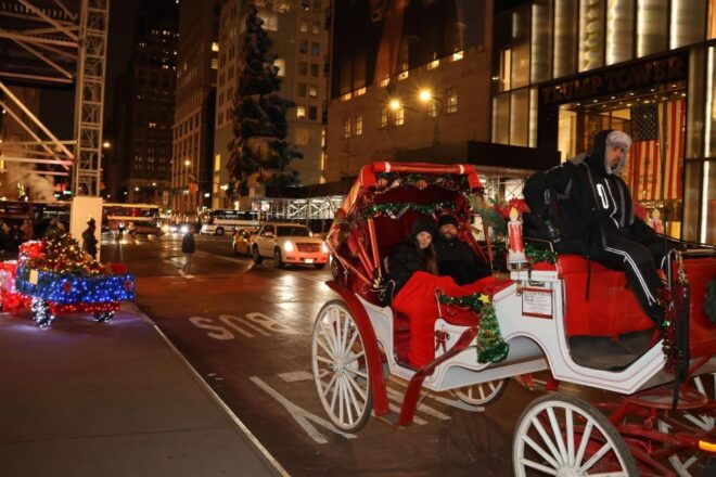 NYC: Magical Christmas Lights Carriage Ride (Up to 4 Adults) - Maximum Capacity and Age Restrictions