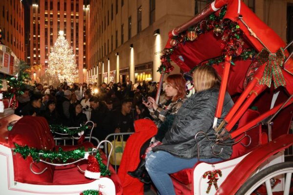 NYC: Magical Christmas Lights Carriage Ride (Up to 4 Adults) - Price and Availability
