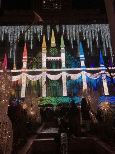 NYC: Magical Christmas Lights Carriage Ride (Up to 4 Adults) - Highlights and Customer Reviews