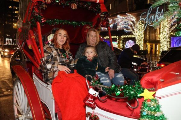 NYC: Magical Christmas Lights Carriage Ride (Up to 4 Adults) - Common Questions