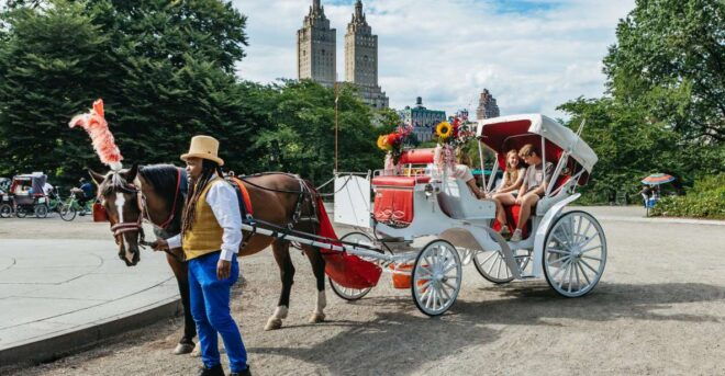 NYC MAGICAL NIGHT TIME RIDE Central Park/Rockefeller Center - Select Participants and Date