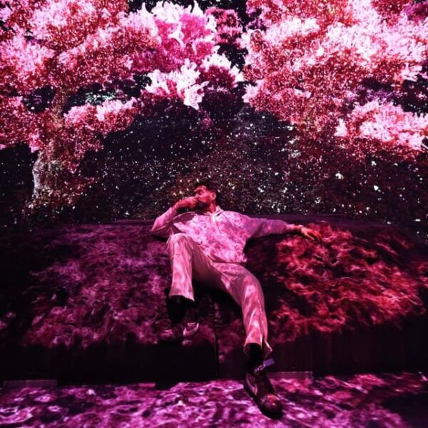 NYC: Mercer Labs Museum of Art and Technology - Customer Reviews