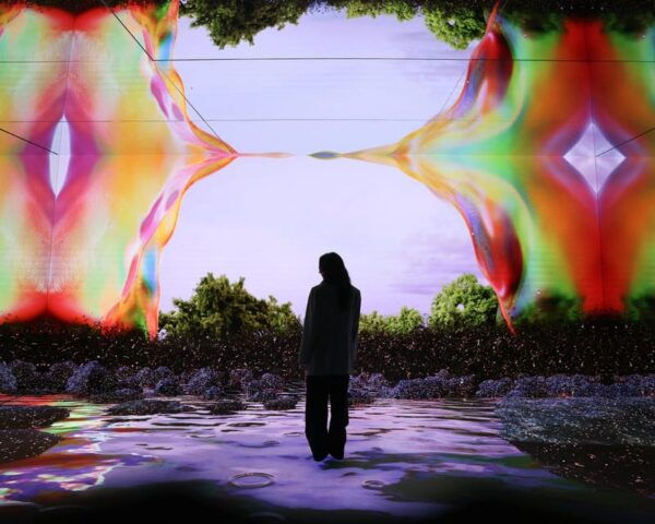 NYC: Mercer Labs Museum of Art and Technology - Frequently Asked Questions