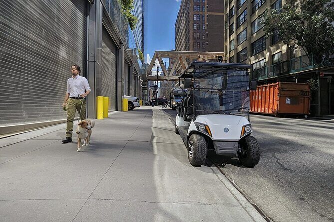 NYC: Midtown, Chelsea &West Village Guided City Tour by E-Cart - Who Will Love This Tour?