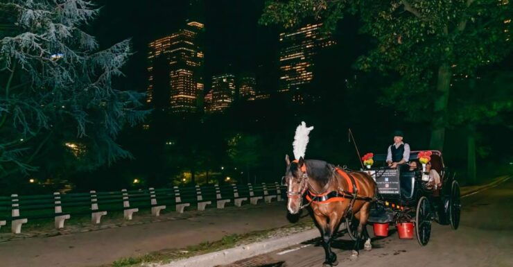 NYC MOONLIGHT HORSE CARRIAGE RIDE Through Central Park - Good To Know
