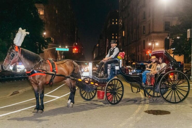 NYC MOONLIGHT HORSE CARRIAGE RIDE Through Central Park - Activity Details and Booking Information