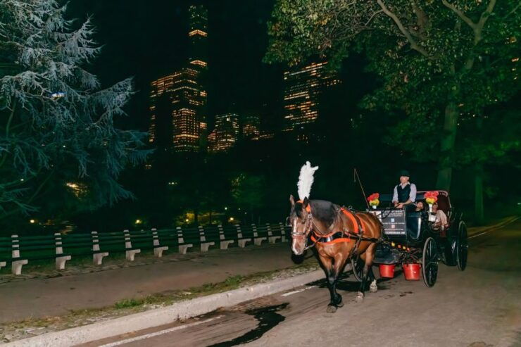 NYC MOONLIGHT HORSE CARRIAGE RIDE Through Central Park - Highlights of the Horse Carriage Ride