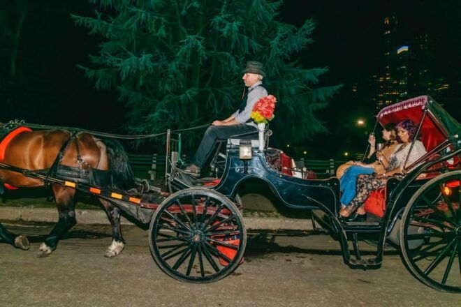 NYC MOONLIGHT HORSE CARRIAGE RIDE Through Central Park - Customer Review of the Horse Carriage Ride