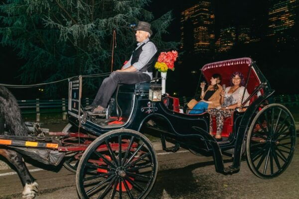 NYC MOONLIGHT HORSE CARRIAGE RIDE Through Central Park - Directions