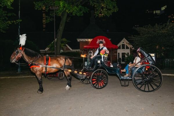 NYC MOONLIGHT HORSE CARRIAGE RIDE Through Central Park - Common Questions