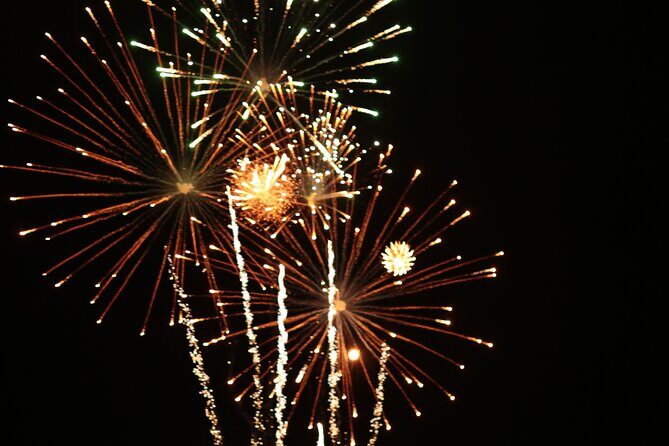 NYC New Years Eve Fireworks Cruise & Plated Dinner, Open Bar - A Closer Look at the Experience