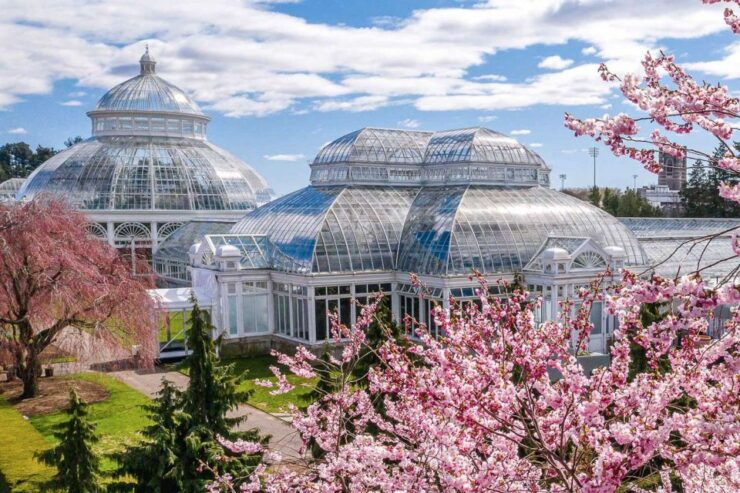 NYC: New York Botanical All-Garden Pass Entry Ticket - Ticket and Provider Information