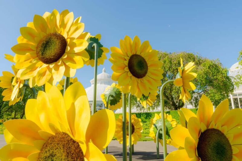 NYC: New York Botanical Garden Pass - The Aesthetic and Practical Aspects