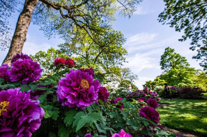 NYC: New York Botanical Garden Pass - What’s Included and What’s Not