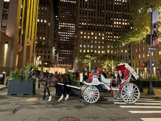 NYC: Private Central Park Horse Carriage Ride - Highlights of the Private Carriage Ride