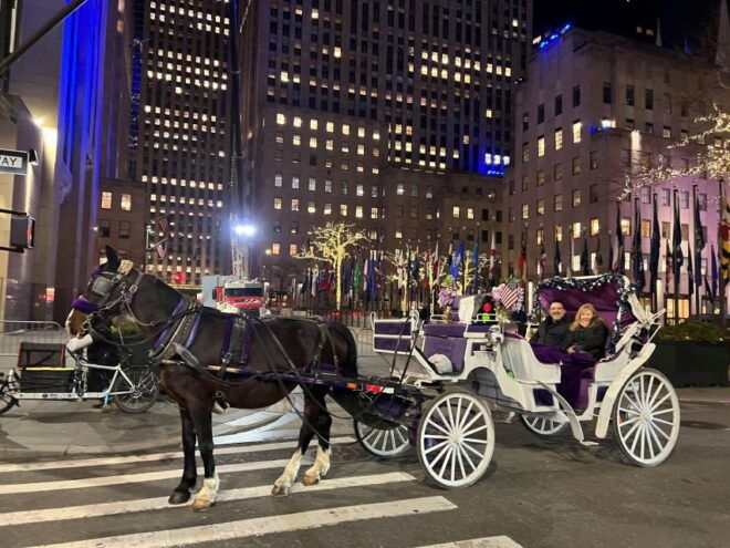 NYC: Private Central Park Horse Carriage Ride - Additional Recommendations for Exploring NYC