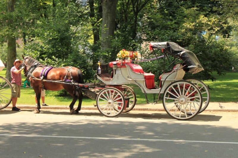 NYC Private Central Park Horse Carriage Ride with Guide - The Bottom Line