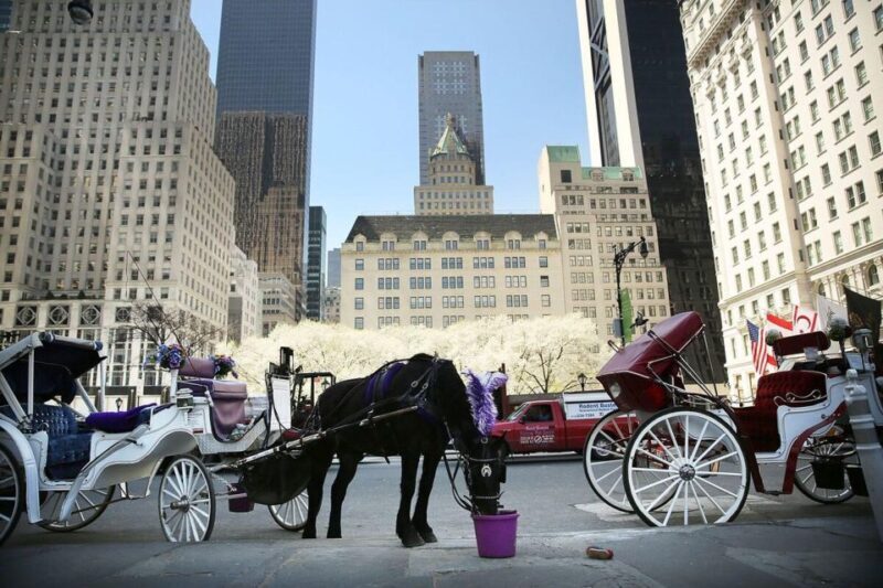 NYC Private Central Park Horse Carriage Ride with Guide - FAQ