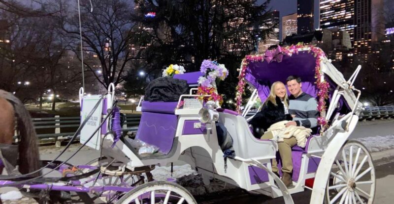 NYC: Private Christmas Lights Horse Carriage Ride - A Detailed Look at the Experience