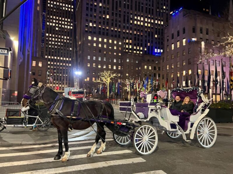 NYC: Private Christmas Lights Horse Carriage Ride - FAQs