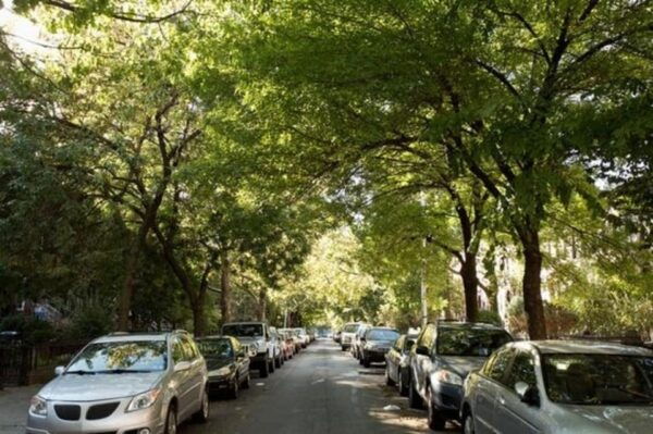 NYC: Soho, Little Italy and Chinatown Private Walking Tour - Frequently Asked Questions