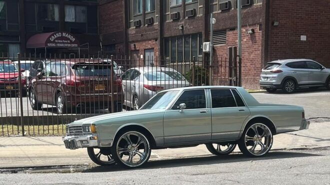 NYC: The Bronx Subway and Walking Tour - Inclusions and Requirements