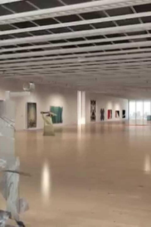 NYC: Whitney Museum of American Art & Manhattan Walking Tour - Experience Details