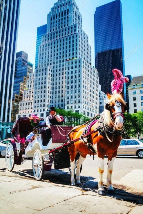 NYC:Guided Central Park Horse Carriage Ride - Pricing and Duration