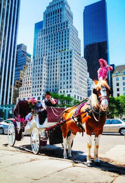 NYC:Guided Central Park Horse Carriage Ride - Highlighted Landmarks